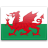 Wales Flag Symbol