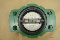 Check Valves